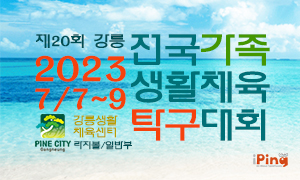 아이핑