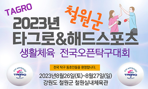 아이핑